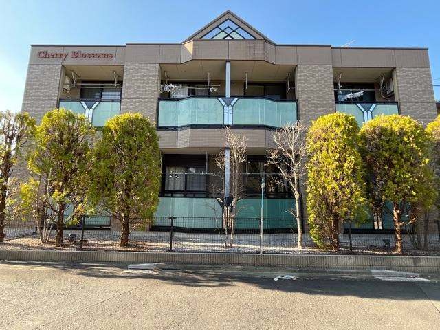 チェリーブロッサム 室内写真2