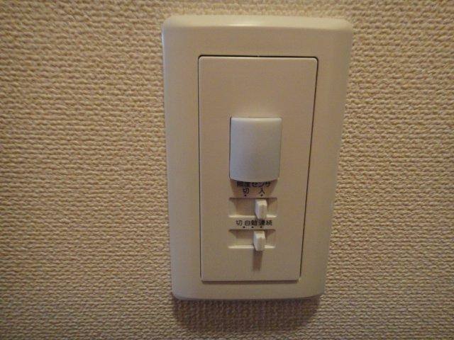 モーツァルト 室内写真5