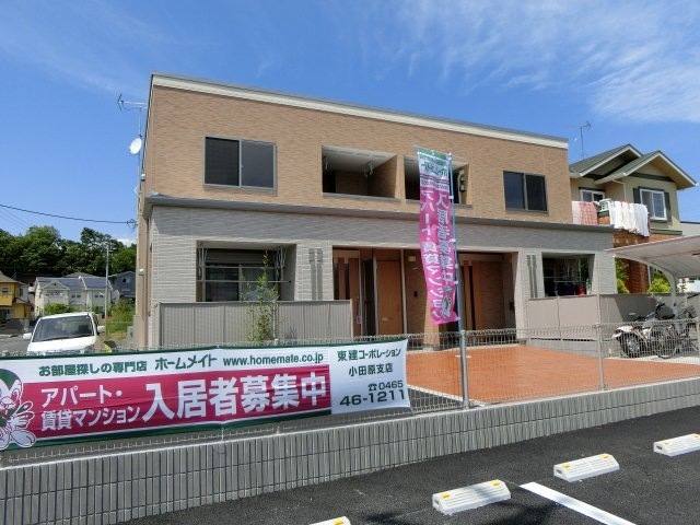 ブリリアント・ベリー