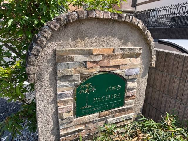 パキラ 室内写真2