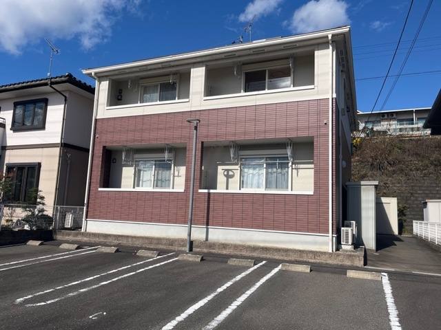 カモミール 室内写真2