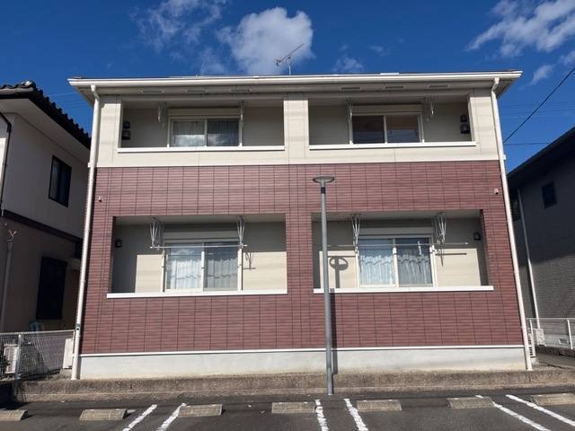 カモミール