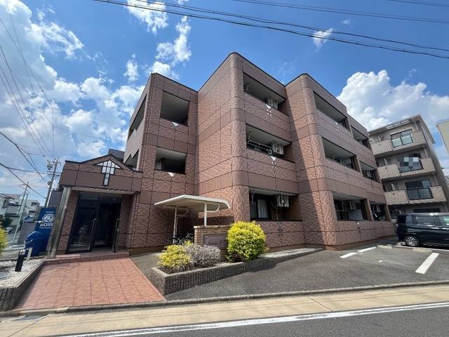 サリーダS・T