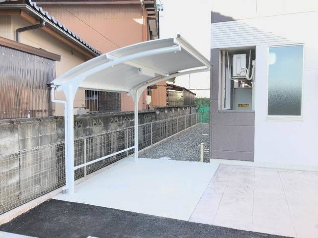 ジプソフィラ 室内写真3