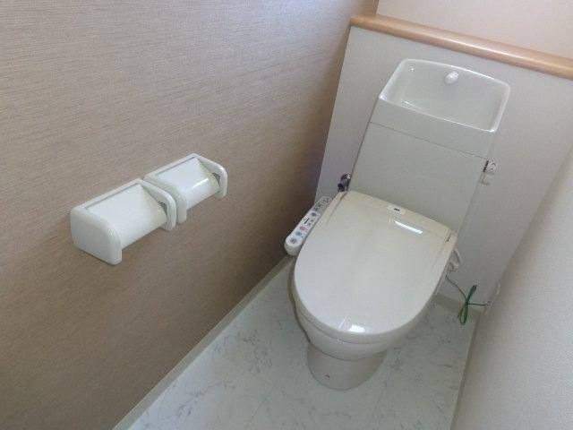 カモミール 室内写真6