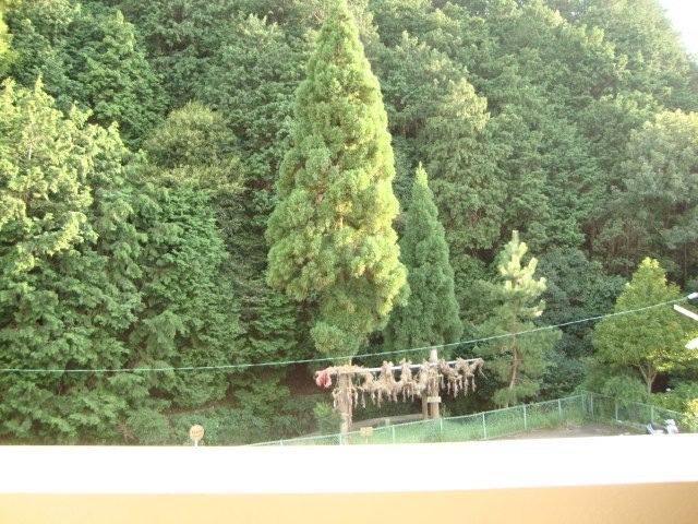ヴァンベール山科 室内写真8