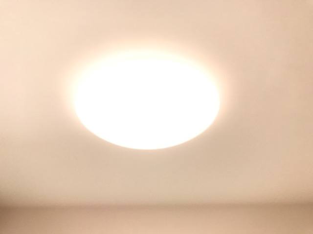 Colza Terrace 神楽 室内写真8