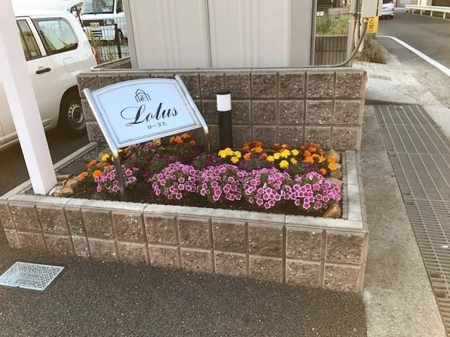 ロータス 室内写真3