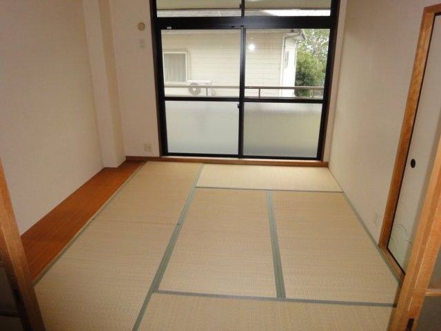 カワモヒル 室内写真6
