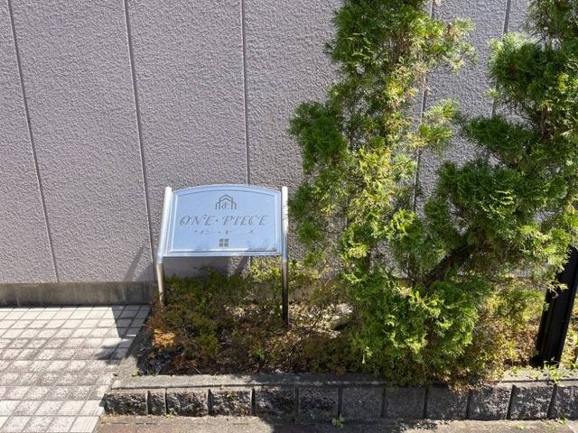 ワン・ピース 室内写真2