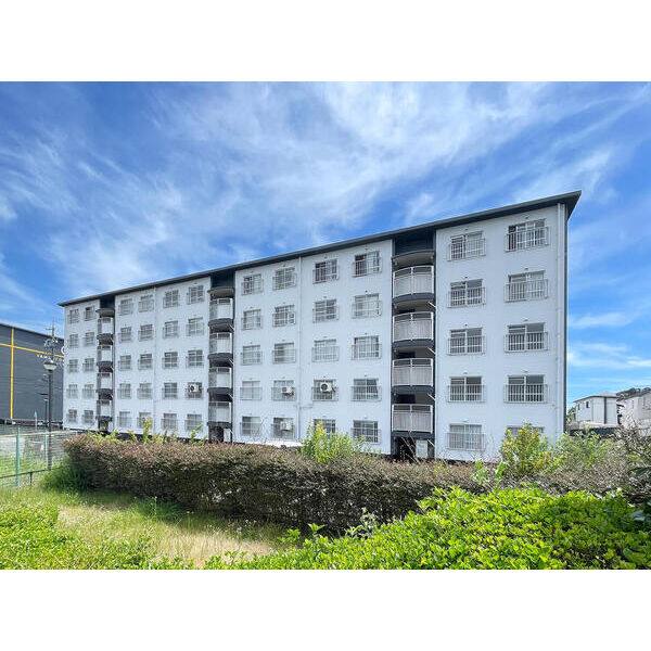 山根台第1住宅 B棟 建物画像