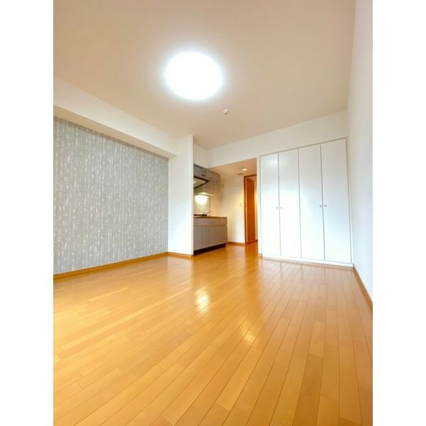 CITY SPIRE難波WEST 室内写真8