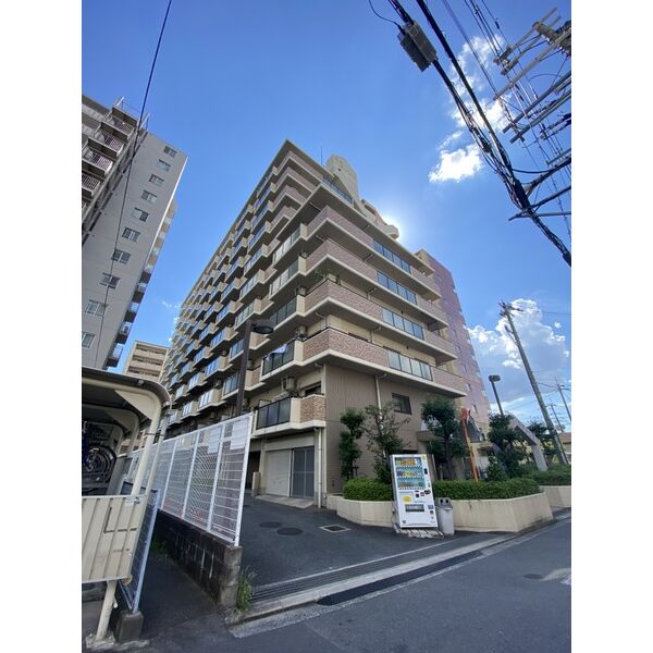 友井グレイス