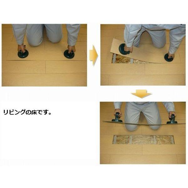 パピヨンⅡ 室内写真1