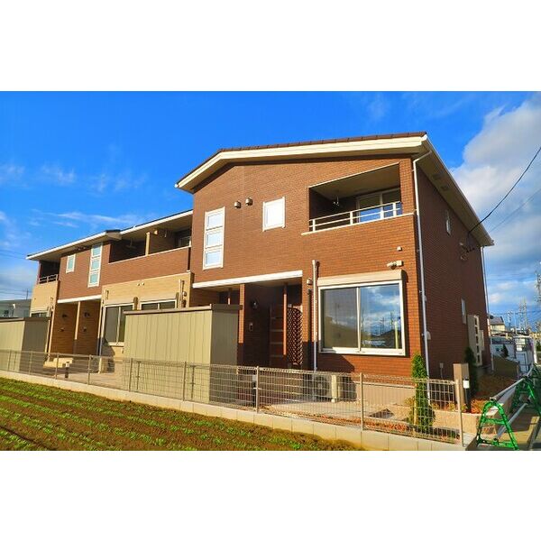 オリーブNJ