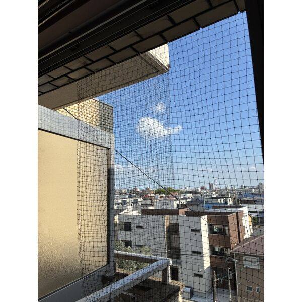 TIマンション 室内写真10