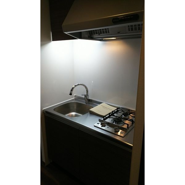 PHOENIX VILLA りんくう 室内写真5
