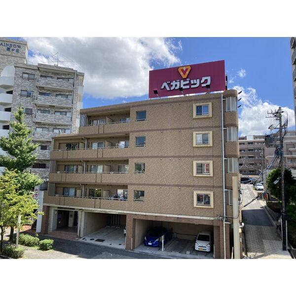 ステラヒルズ 建物画像