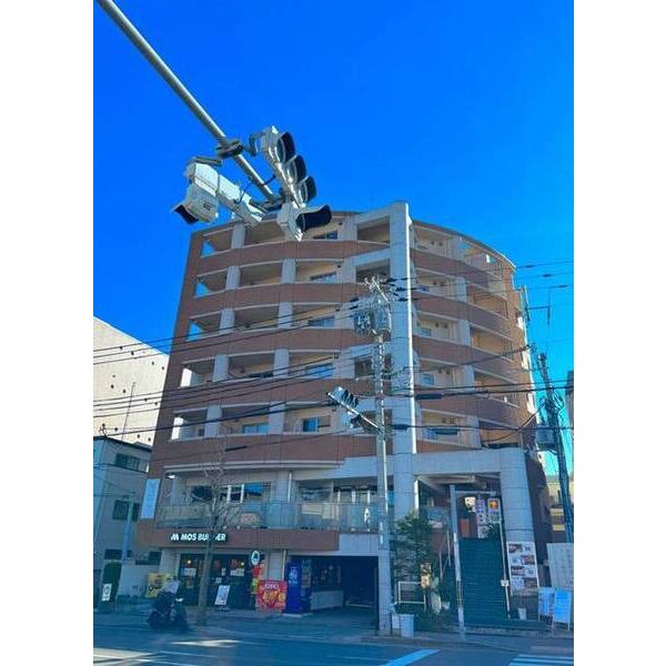 GATO D.M北山