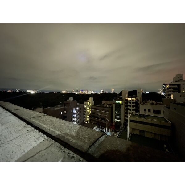 ミリオングランデ元赤坂ヒルズ 室内写真10