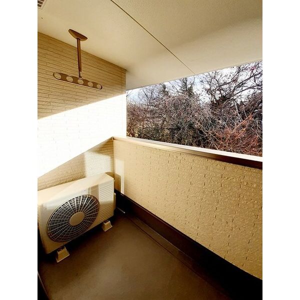 Balmy court 室内写真6
