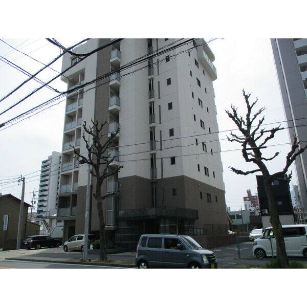 マザー花の木