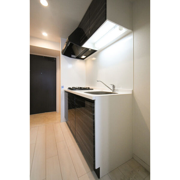 スプランディッド淀屋橋DUE 室内写真4