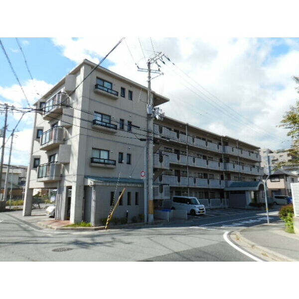 ドール辻井