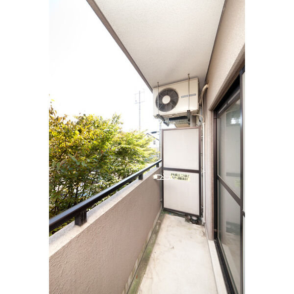 フォレスト 室内写真10