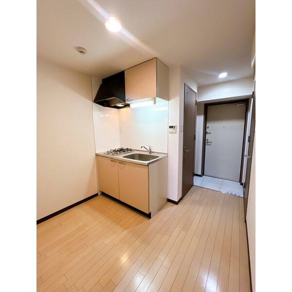 FLAT12 室内写真5