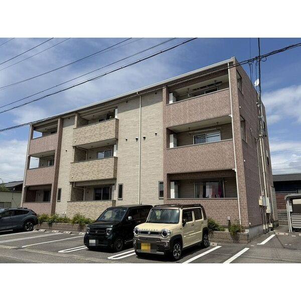 マーガレット23