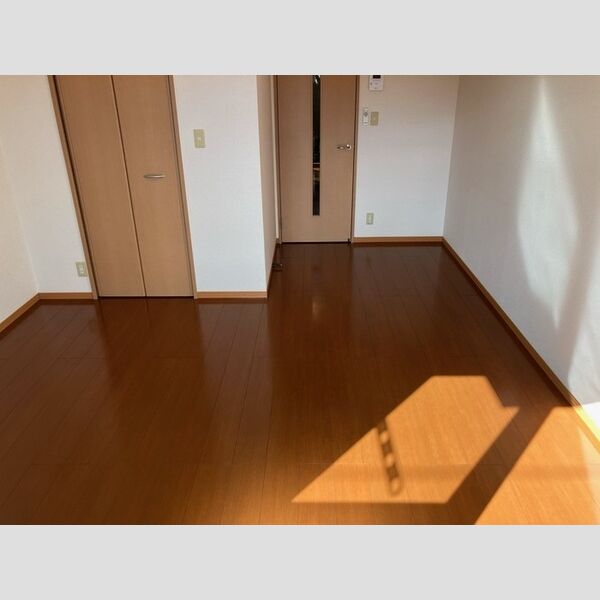 パレスレイト 室内写真3