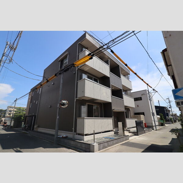 クリプトメリア稲川