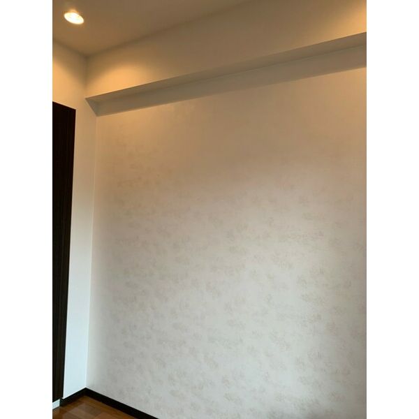ライオンズマンション若江岩田ステーションプラザ 室内写真10