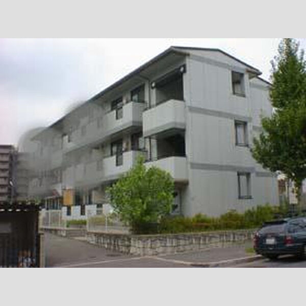アルス・シンコー
