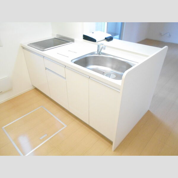 カンパニュラ 室内写真2