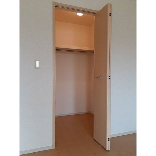 コスモス 室内写真5