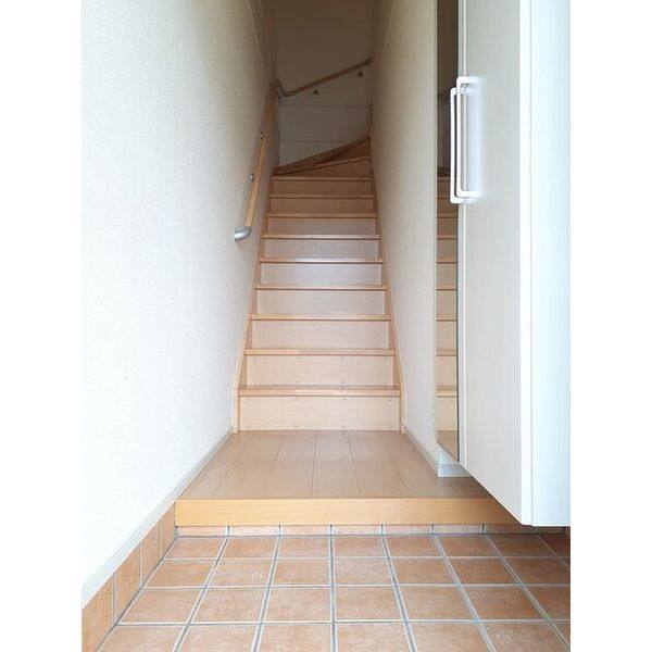 コスモス 室内写真6