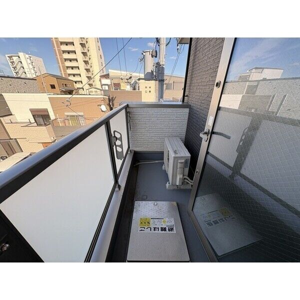 F asecia lipine 室内写真8