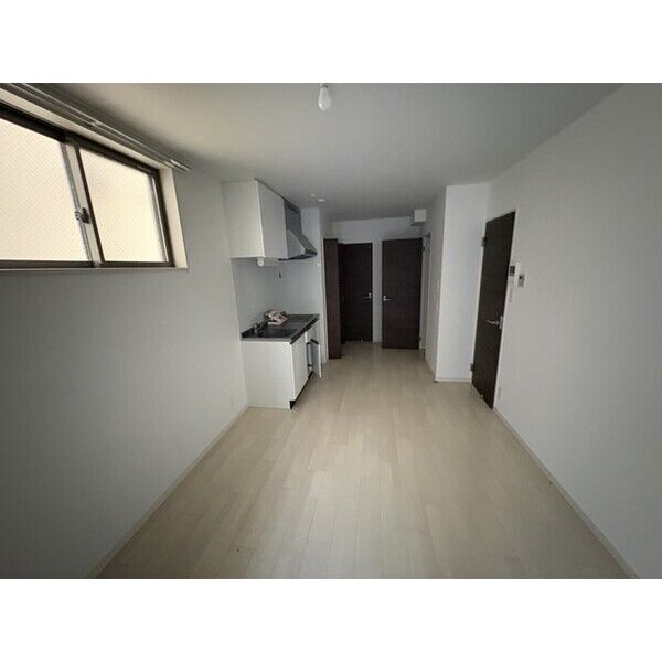 F asecia lipine 室内写真1