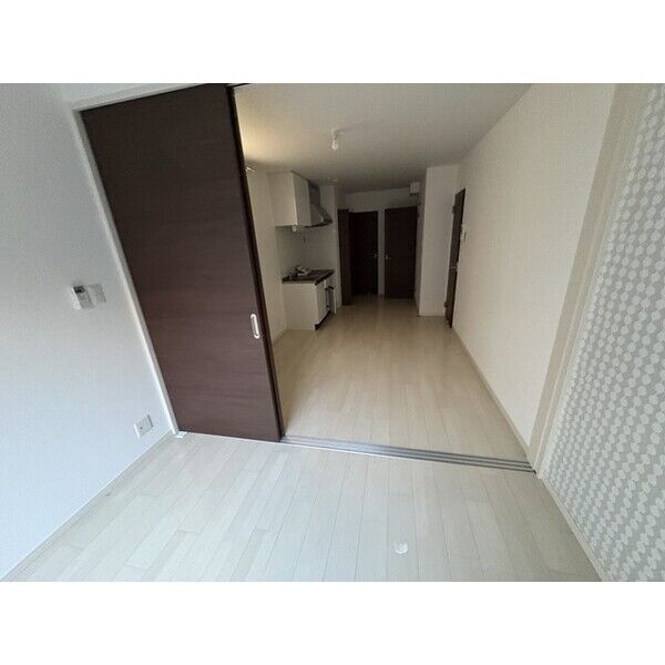 F asecia lipine 室内写真3