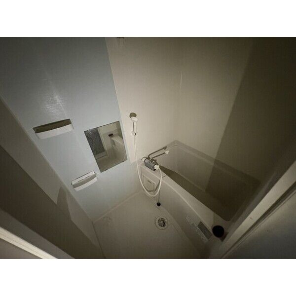F asecia lipine 室内写真4