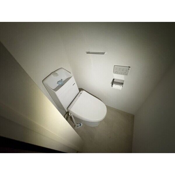 F asecia lipine 室内写真5