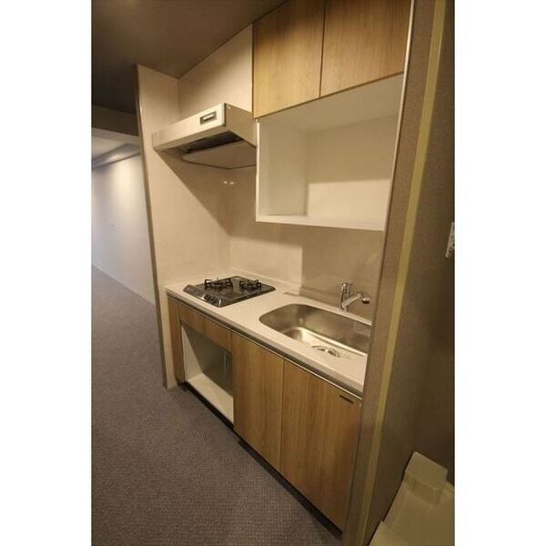 Uresidence Temmabashi 室内写真5