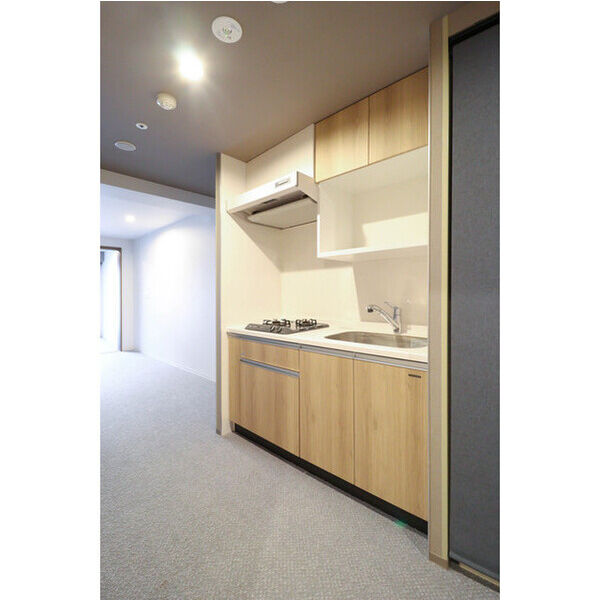 Uresidence Temmabashi 室内写真6
