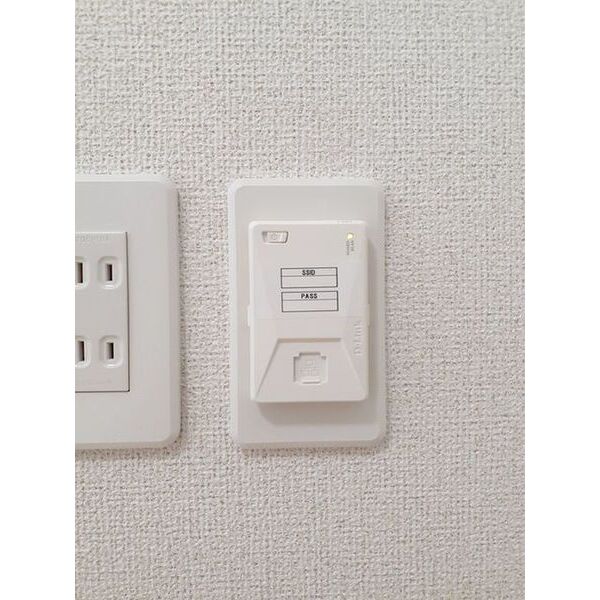 カトレア 室内写真10