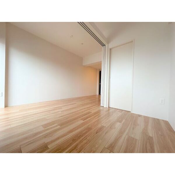 セレニテ西中島アリア弐番館 室内写真2