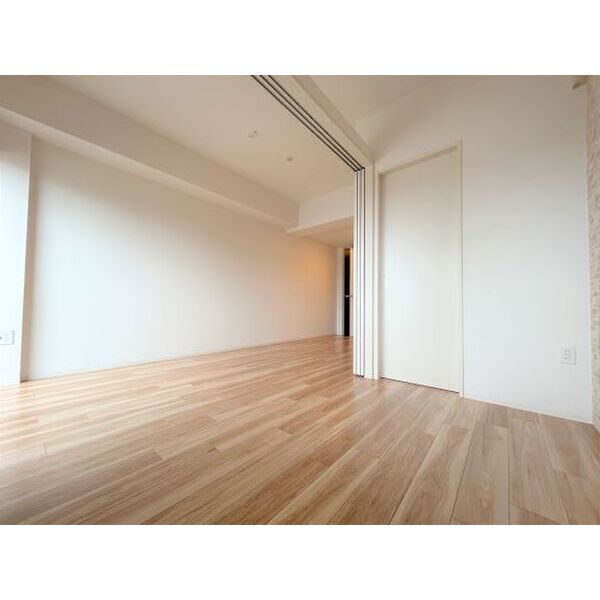 セレニテ西中島アリア弐番館 室内写真2