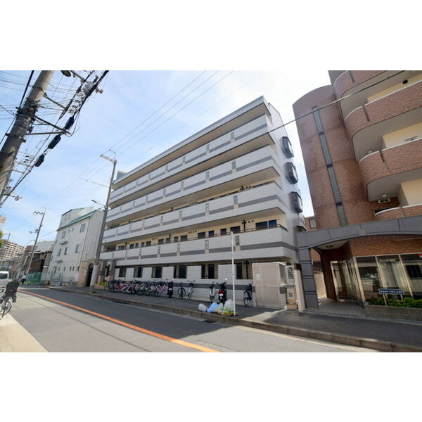 レオ新高