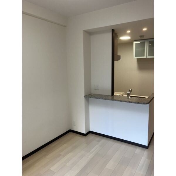エステムコート難波WESTSIDEIIベイフレックス 室内写真2